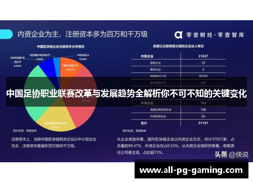 中国足协职业联赛改革与发展趋势全解析你不可不知的关键变化