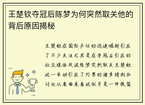 王楚钦夺冠后陈梦为何突然取关他的背后原因揭秘