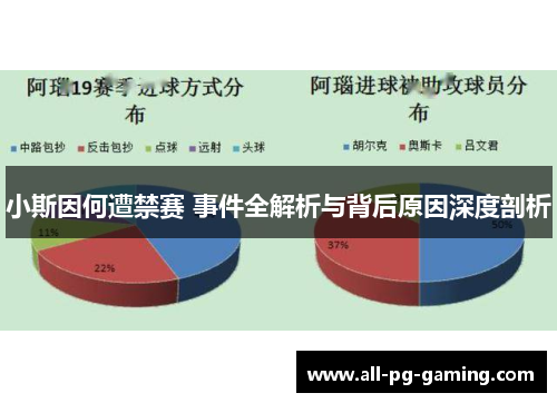 小斯因何遭禁赛 事件全解析与背后原因深度剖析
