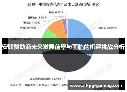 安联赞助商未来发展前景与面临的机遇挑战分析 安联赞助商未来发展前景与面临的机遇挑战分析
